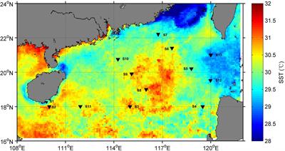 Abundance and Diversity of Dimethylsulfoniopropionate Degradation Genes of Roseobacter Group in the Northern South China Sea